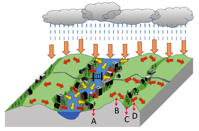 Visual generated from Dr. Wang's model