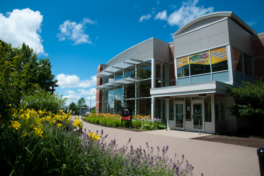 A building on a sunny day