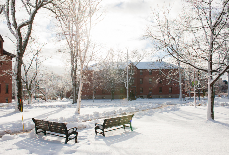 A snowy winter scene on campus