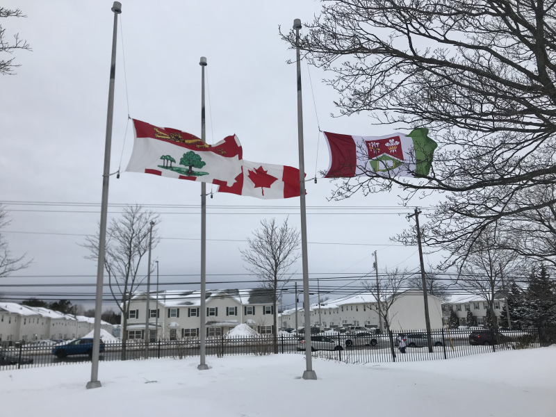 Photo of flags at half mast