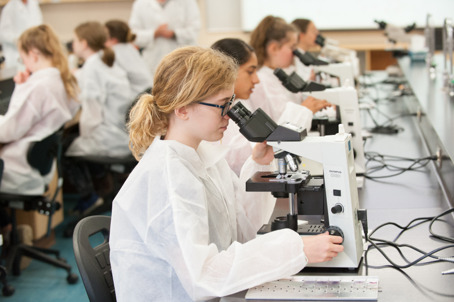 Students in the 2019 AVC Vet Camp learn how to use a microscope.