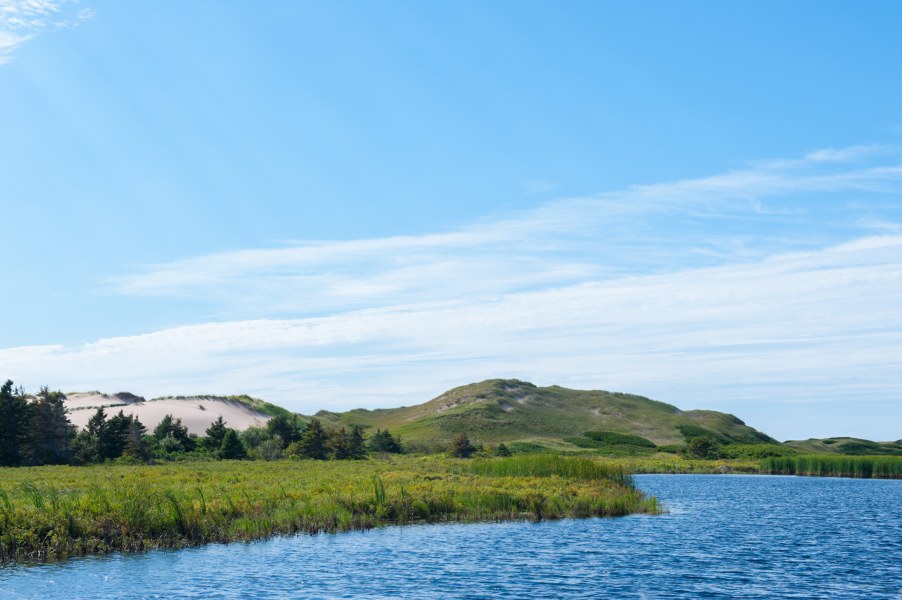 A grassy sand dune overlooking deep blue water and a sunny sky