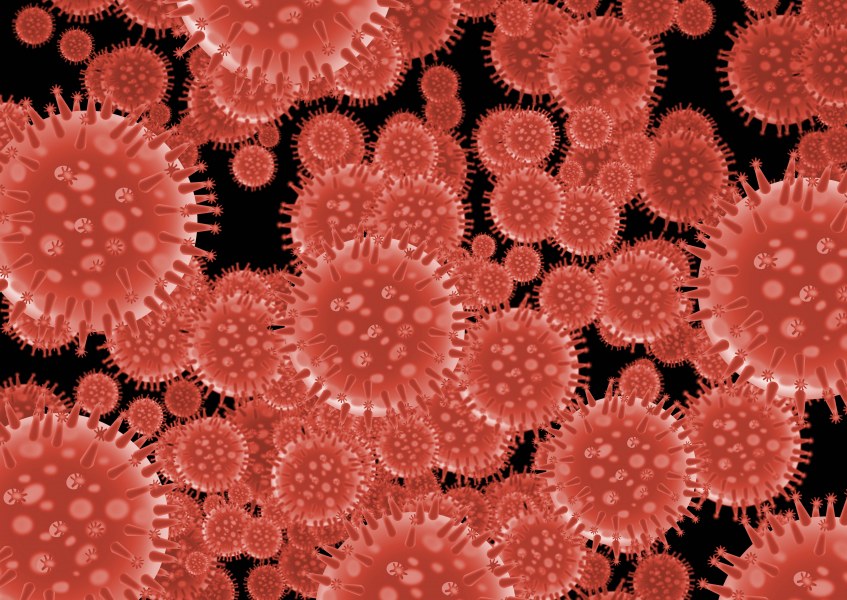 image of coronavirus