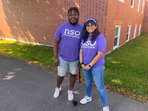 NSO coordinators