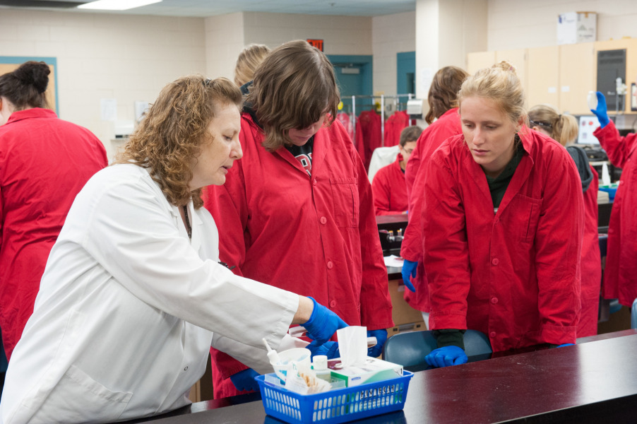 File footage of Summer Academy participants taking part in a lab. (Please note: This photo was taken prior to COVID-19)