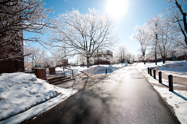 image of paved walkway on campus with bright winter sun