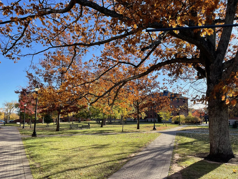 Photo of campus quadrangle in the fall