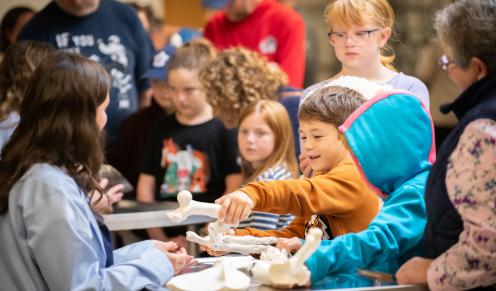 Child explores bones at the AVC Open House