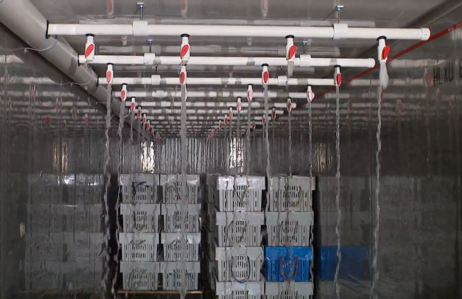 The sustainable spray lobster holding tank designed by UPEI engineering students