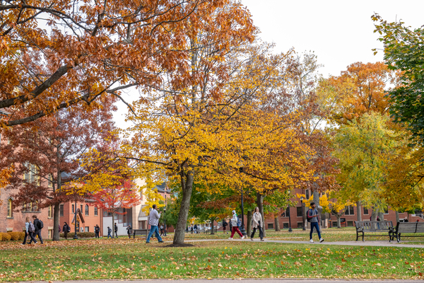 photo of quad with Steel Building in background