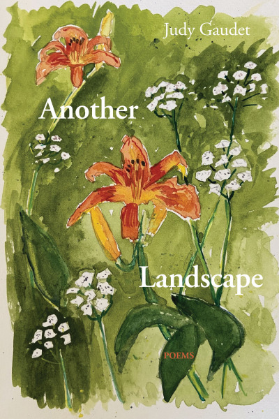 Cover of "Another Landscape"