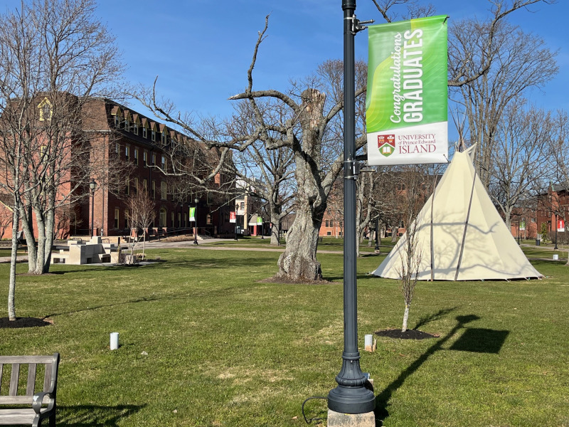 photo of the campus quadrangle in spring
