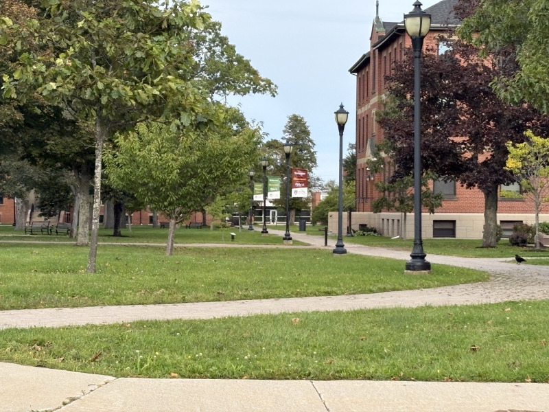 photo of quad facing Cass Science Hall and with a view of several lamp post banners