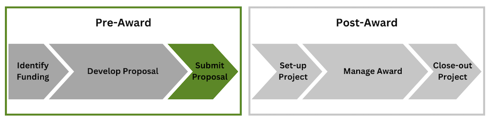 a green graphic depicting the pre-award to post-award life cycle