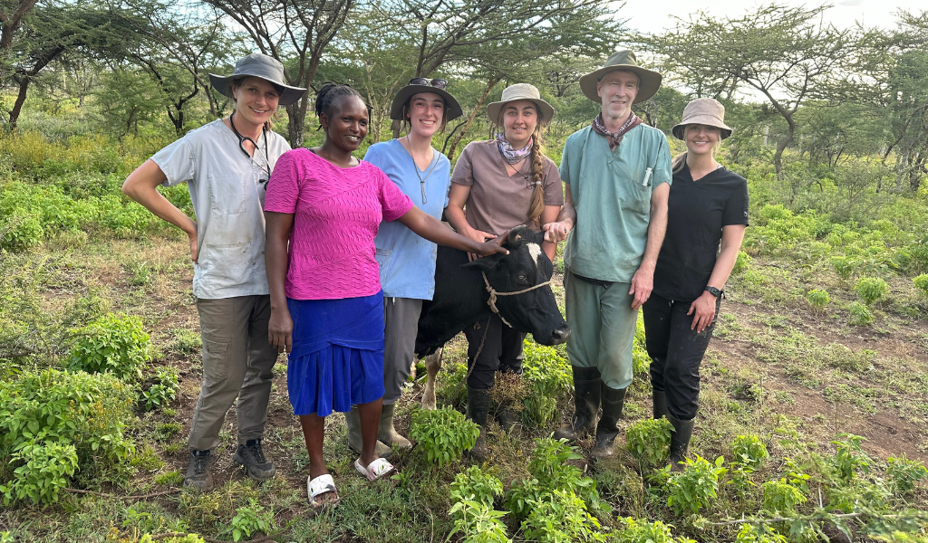 At the end of our Nkando walk-in clinic (from L to R): Dr. Caroline Ritter, cow owner, Kaitlyn Ledgerwood, Kaitlin Coles, Dr. John VanLeeuwen, and Meghan Martell.