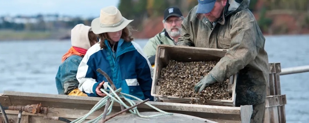 a group gathering shellfish in a small boat