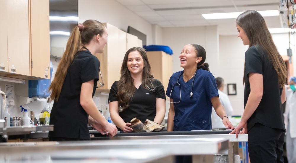 a group of four veterinarian students in a lab