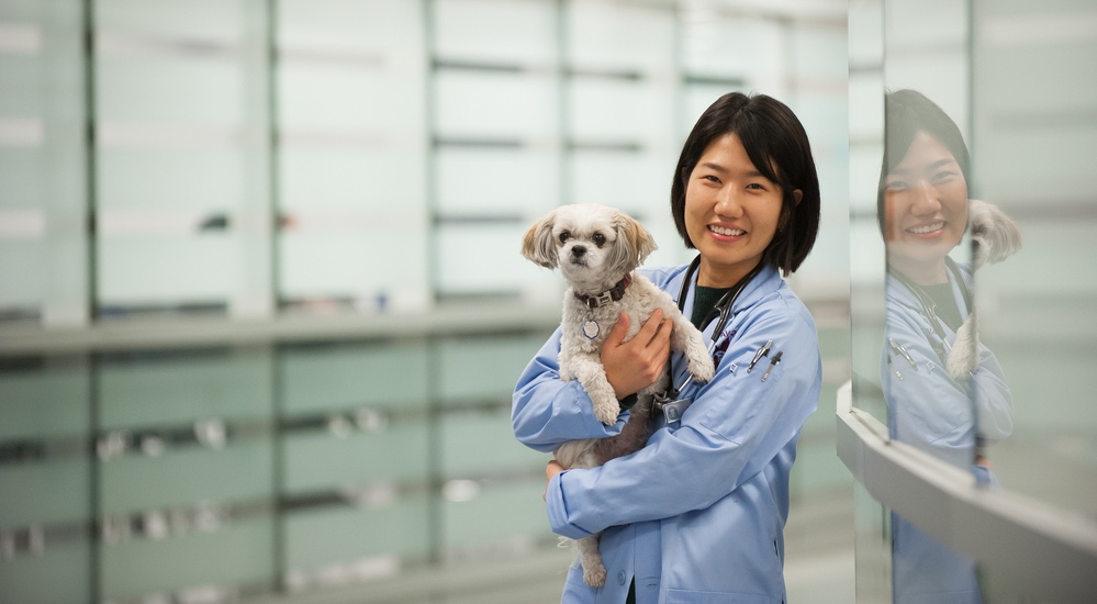 a veterinarian student holding a small dog