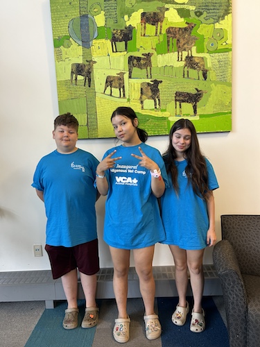 three students at vet camp at the Atlantic Veterinary College