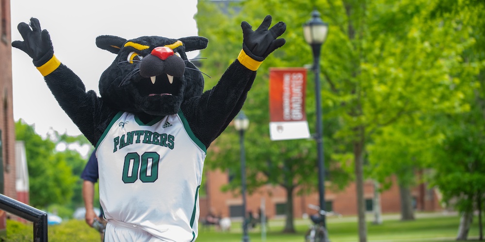 Pride the Panther 