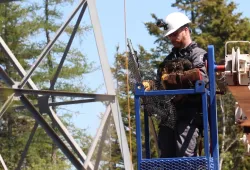 Eaglet rescue in progress