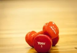 A set of exercise weights sit on the ground