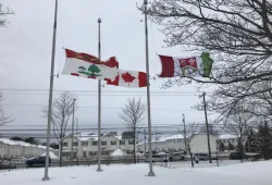 Photo of flags at half mast