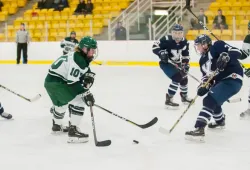 A hockey scene