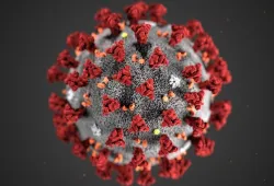 An artistic rendering of the COVID-19 virus, a dark sphere dotted by clusters of shaggy spikes