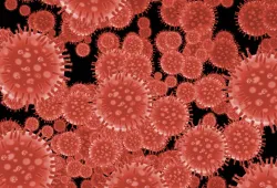 image of coronavirus