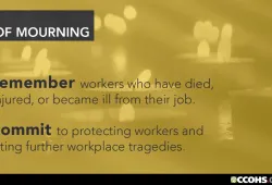 graphic with text about the National Day of Mourning