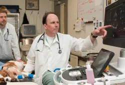 Dr. Étienne Côté receives Daniel Elmer Salmon Award 