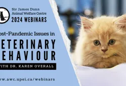 SJDAWC Webinar