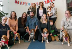 Atlantic Veterinary College hosts retirement party for beagles