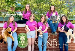 Vet camp counsellors pose with stuffed animals