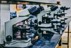 desk with microscopes