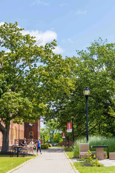 students walking in the UPEI quad
