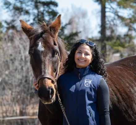 a veterinarian and a horse on a sunny day