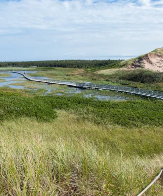 greenwich pei boardwalk