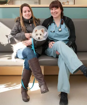 A veterinarian sits with a dog and its owner