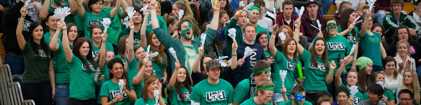 Crowd at a basketball game