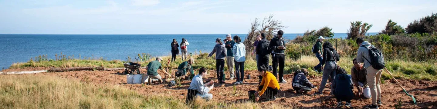 a group planting on a cliff with ocean behind