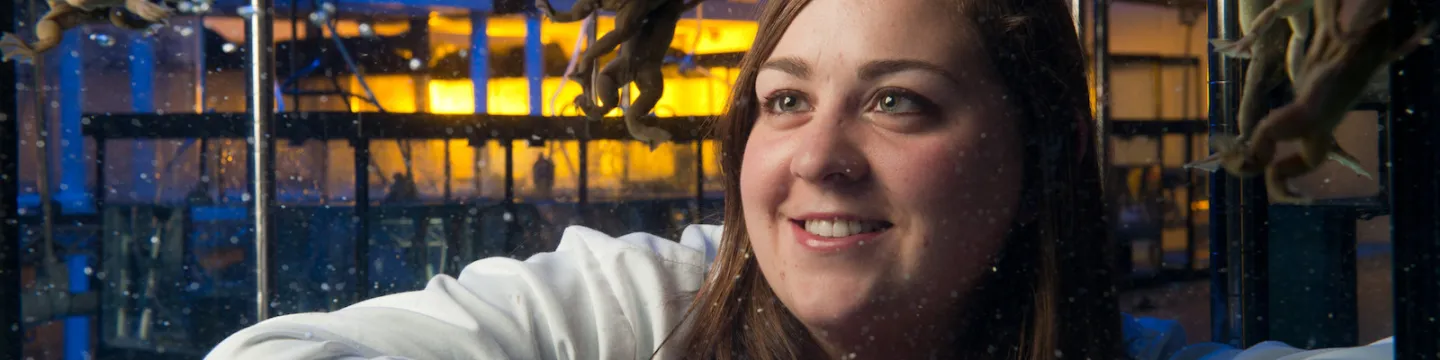 female scientist watching frogs swim in a tank