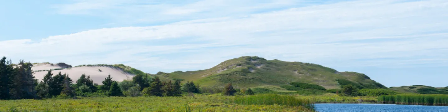 A PEI scene