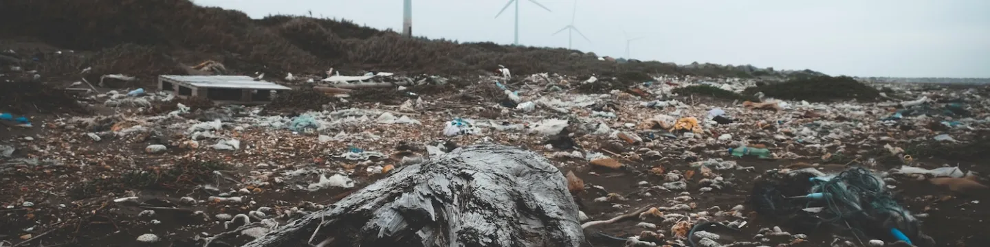 a garbage-covered shoreline with wind turbines in the background