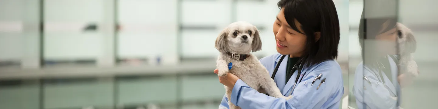 veterinarian holding a small white dog