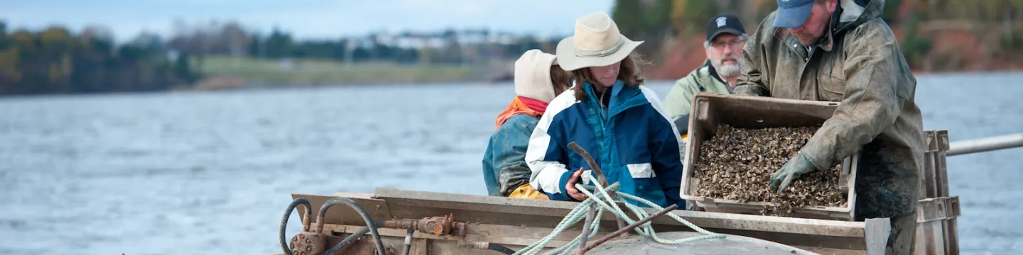 aquatic researchers working in the Hillsborough River